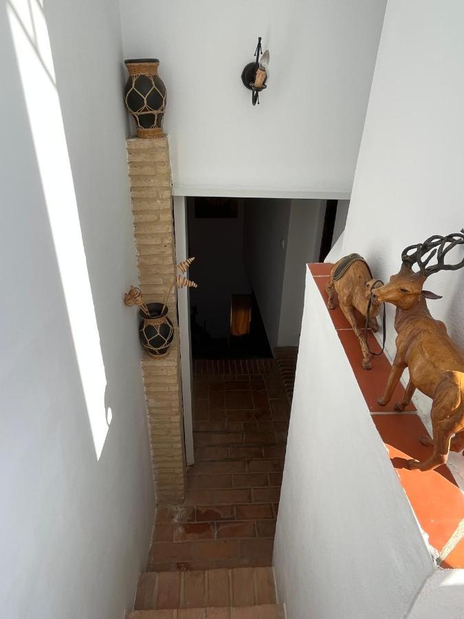 Apartmán Esencia De Arcos Arcos de la Frontera Exteriér fotografie